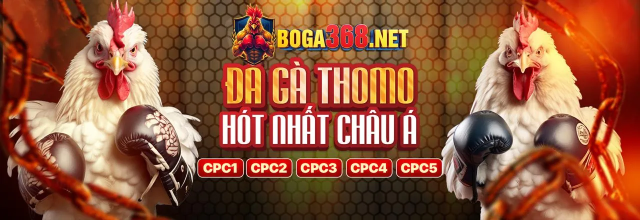 Đa dạng trò chơi cá cược tại debet top